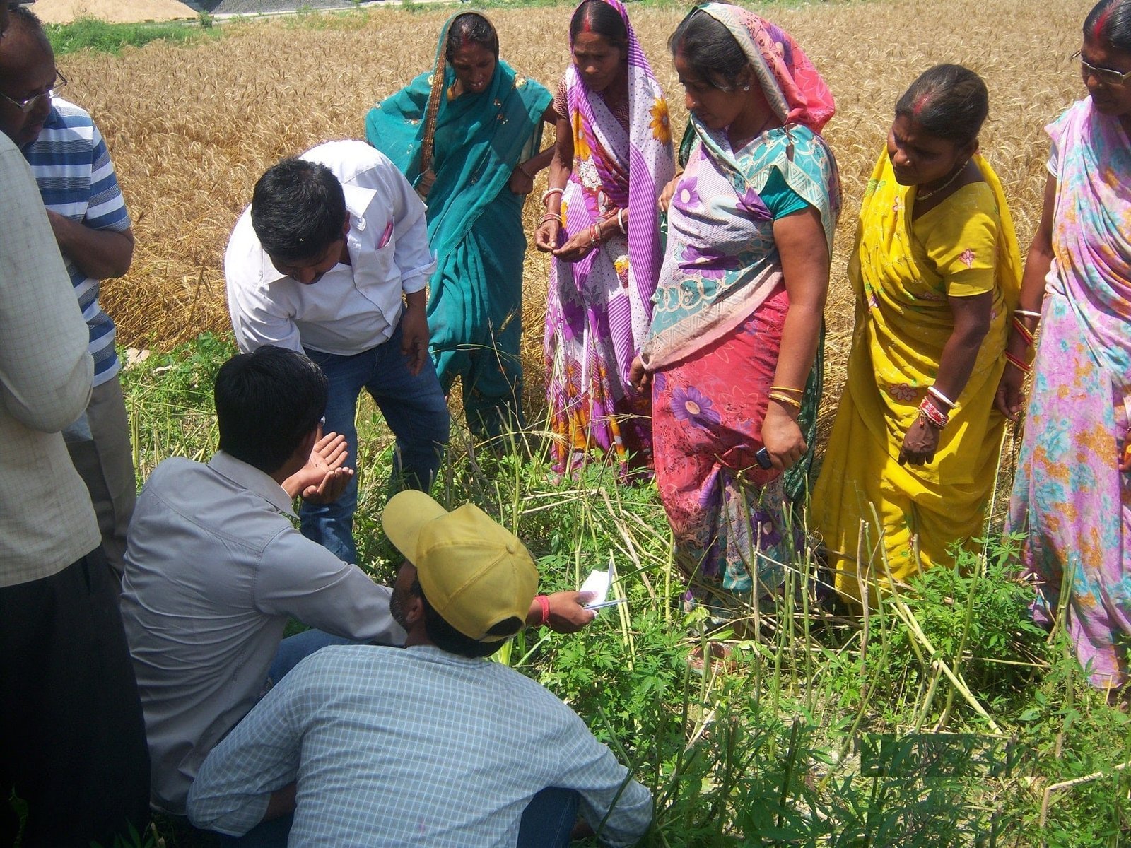 Women farmers gathered around facilitators during a field demonstration.